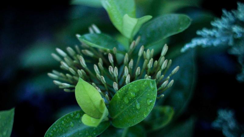 Featured image for Ai7Bot Com article