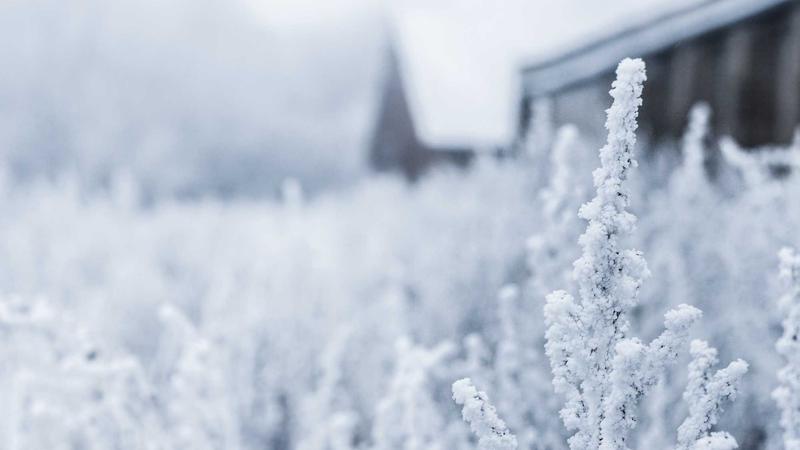 Featured image for Ai7Bot Com article