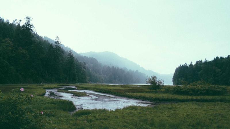 Featured image for Ai7Bot Com article