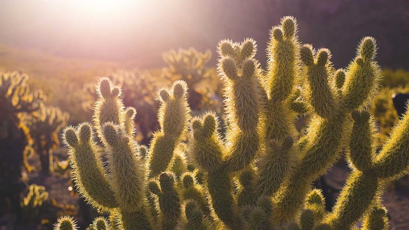 Featured image for Ai7Bot Com article