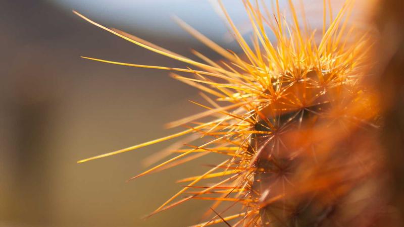 Featured image for Ai7Bot Com article