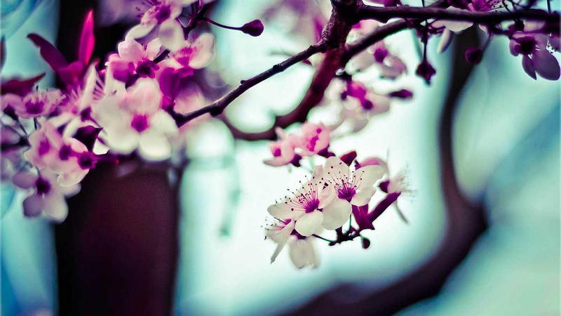 Featured image for Ai7Bot Com article