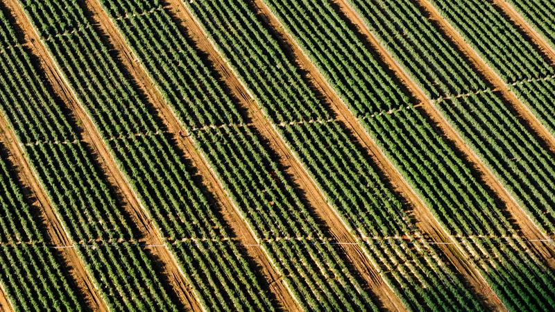 Featured image for Ai7Bot Com article