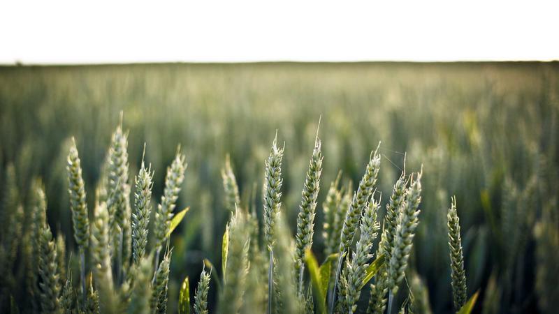 Featured image for Ai7Bot Com article