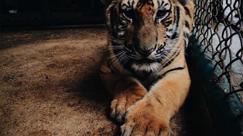 Featured image for Ai7Bot Com article