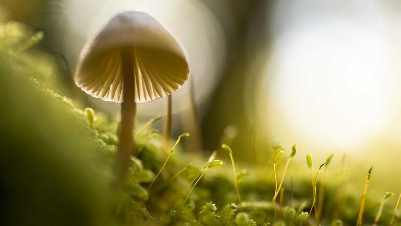 Featured image for Ai7Bot Com article