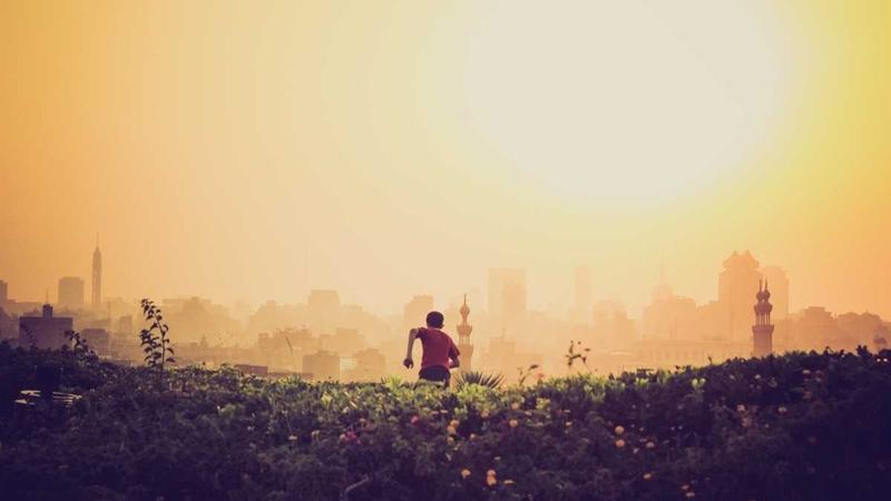 Featured image for Ai7Bot Com article