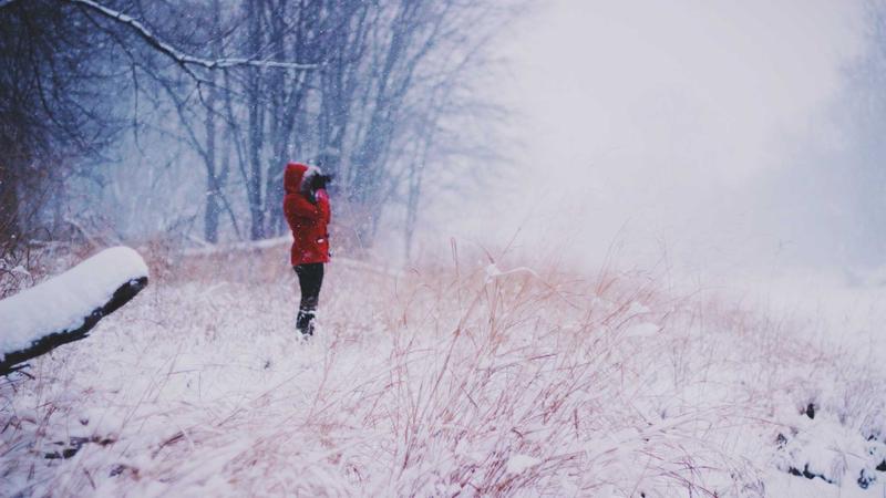 Featured image for Ai7Bot Com article