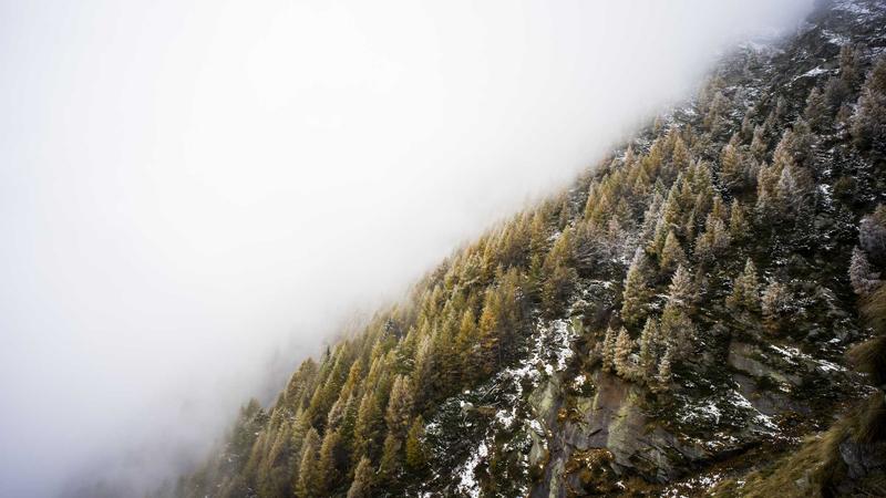 Featured image for Ai7Bot Com article