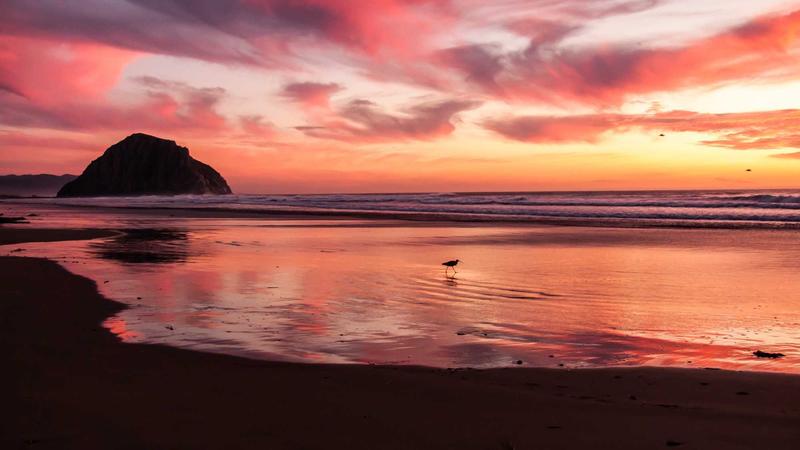 Featured image for Ai7Bot Com article