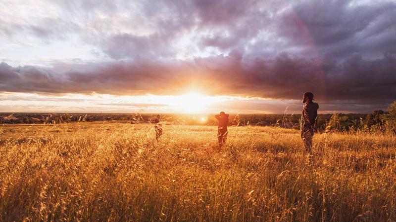 Featured image for Ai7Bot Com article